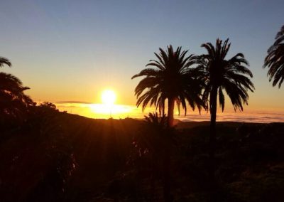 Entorno Efigenia La Gomera 2047