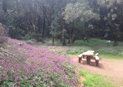 Entorno Efigenia La Gomera 2248