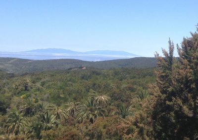 Entorno Efigenia La Gomera 2261