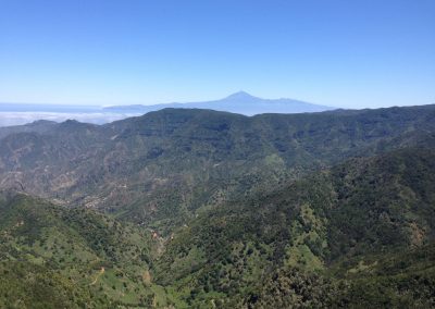 Entorno Efigenia La Gomera 2279