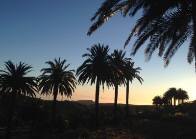 Entorno Efigenia La Gomera 2295