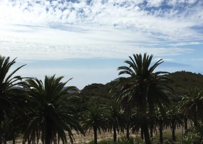 Tía Delfina Efigenia La Gomera 4758