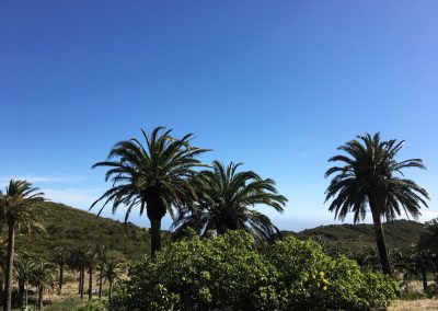 Entorno Efigenia La Gomera 6018